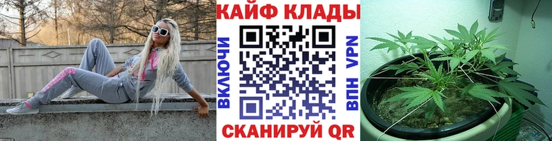 Купить закладку Канабис Меф COCAIN ГАШИШ Оленегорск