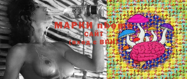 прущие крисы Киренск