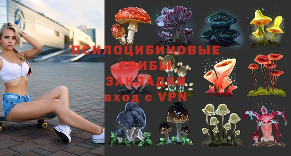 прущие крисы Киренск