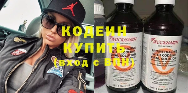 прущие крисы Киренск