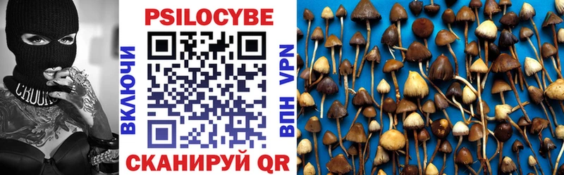 Псилоцибиновые грибы Cubensis  Купить  Оленегорск 